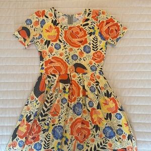 NWOT LuLaRoe Amelia Dress | Size Medium